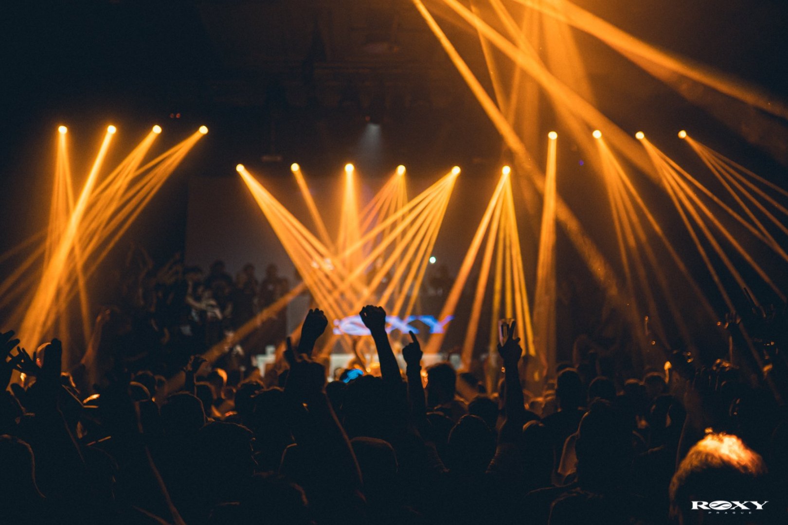 Sub Focus | ROXY Prague