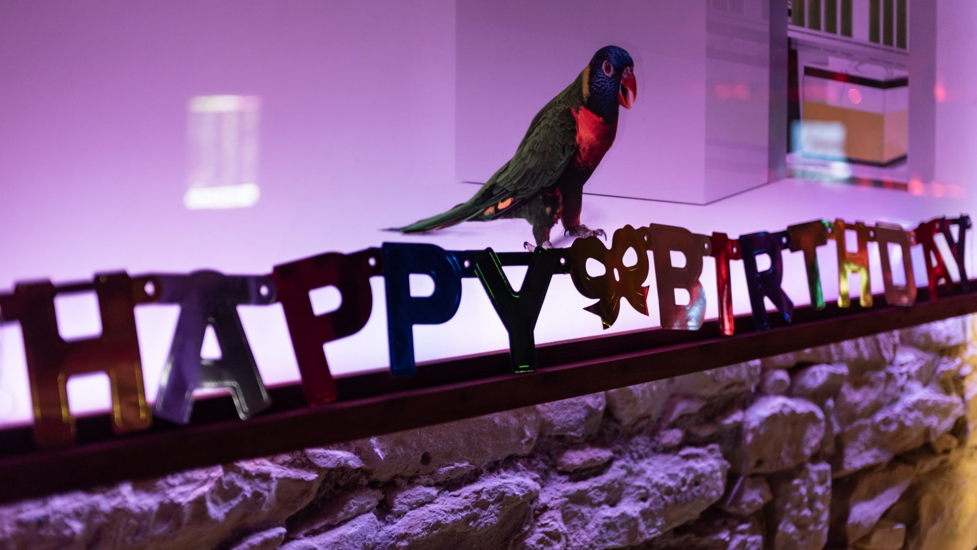 Eagles & Butterflies | Biodan's bday | ROXY Prague